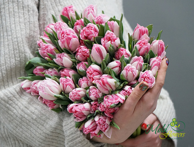 Голландские тюльпаны пионовидные бледно-розовые (под заказ 10 дней ) Фото